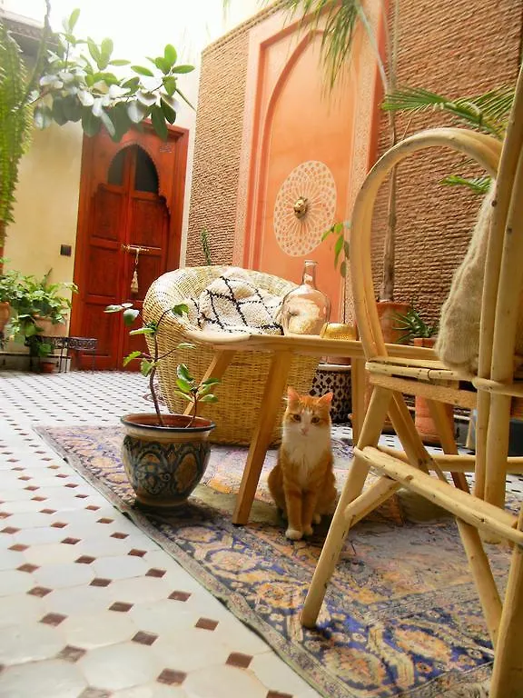 ****  Riad El Wiam Marrakesh Marruecos